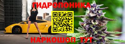 амфетамин Можга